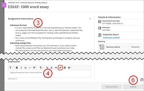 Screenshot showing steps 3, 4 and 6: submit assignment.