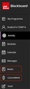 Screenshot showing Blackboard base navigation menu with marks and coursework highlighted.