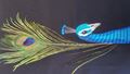 Digital embroidery