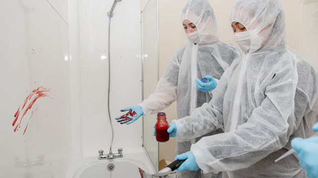 Simulation House bathroom
