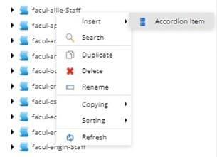 Example of how to insert an Accordion item