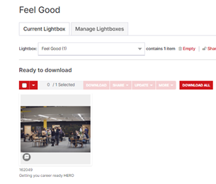 Asset Bank lightbox screenshot 1