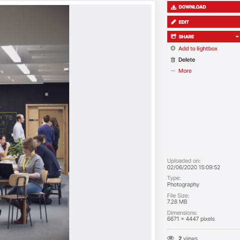 'Add to lightbox' screenshot.