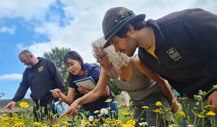 A group of people outside leaning over a patch of wildflowers pointing to different flowers. 