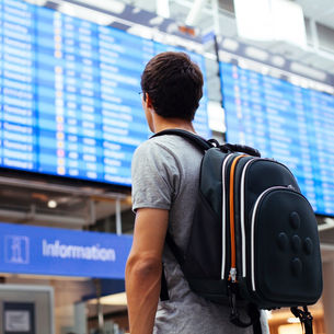 Student looks at departures information for their flight