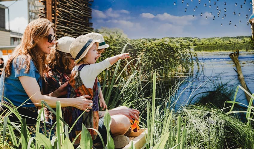 Two adults and a young child sit at the edge of a reed-lined pond, with the child wearing a hat and pointing toward a flock of birds flying across a blue sky backdrop; tall green plants surround the group, and a woven structure and building are visible behind them.