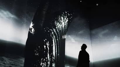 A man stands looking at the image of a whale as it emerges from the water. 