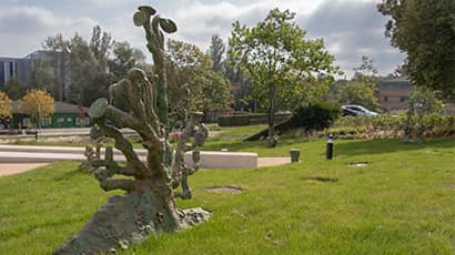 A green and brown coloured bronze sculpture inspired by plants such as mosses, lichen and liverworts stands in the university's grounds.