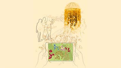 Illustration of a garden with someone photographing it using an ipad