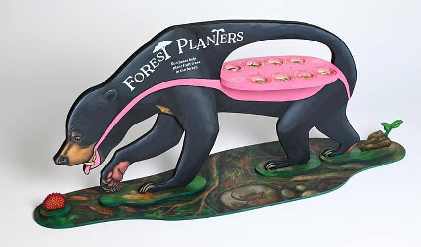 An educational display featuring the model of a life size bear which visitors can walk around to discover some of the seeds that sun bears help to spread. 