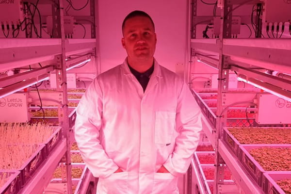 Jamie Taylor, founder of the project, standing in aeroponic grow system under pink LED lighting.