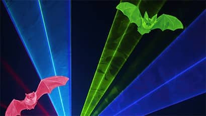 Bats with stage lighting graphic