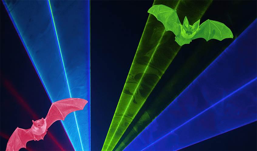 Bats with stage lighting graphic