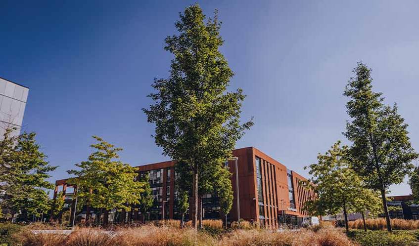 Frenchay campus, with trees in the foreground