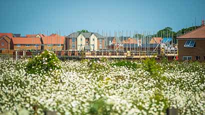 Housing being built, with a field in the foreground and blue sky in the background