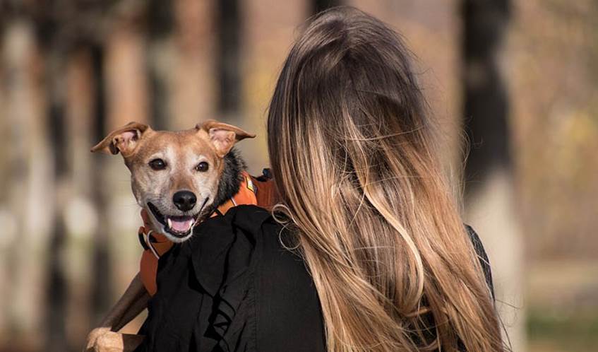 Female with long fair hair with her back to camera holding a small brown dog in her arms, with the dog's facing the camera over her shoulder