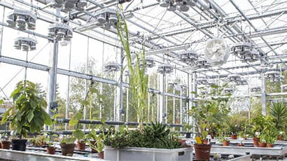 Envirotron Greenhouse at Frenchay Campus.