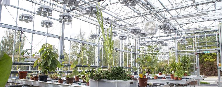 Envirotron Greenhouse at Frenchay Campus.