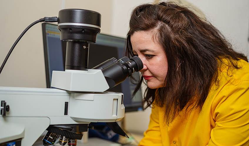 A woman with brown shoulder length hair, wearing a yellow lab coat, looking through a microscope in a science lab