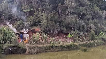 A threatened forest in Madagascar