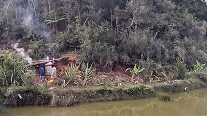 A threatened forest in Madagascar
