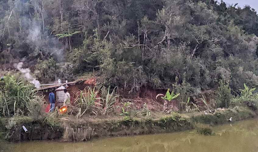 A threatened forest in Madagascar