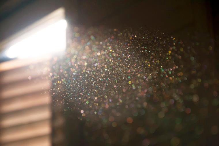 Dust particles floating in a beam of sunlight.