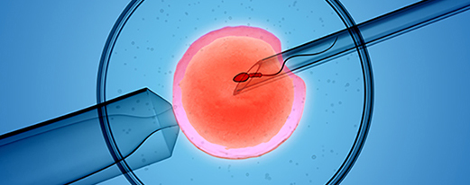 A picture depicting in vitro fertilization