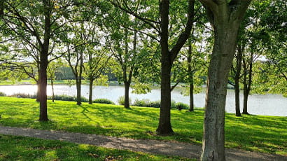 A sunny and beautiful park with lots of green trees and a lake.