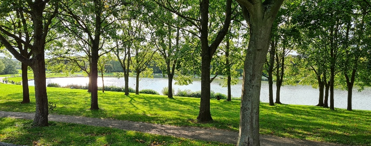 A sunny and beautiful park with lots of green trees and a lake.