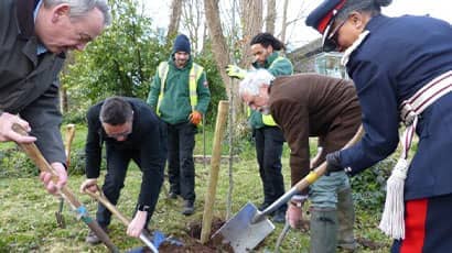 A group of people planting trees