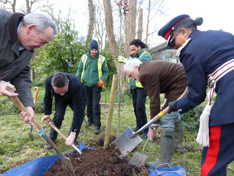 A group of people planting trees
