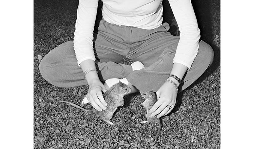 A person sat cross legged on grass holding a taxidermy rat in each hand