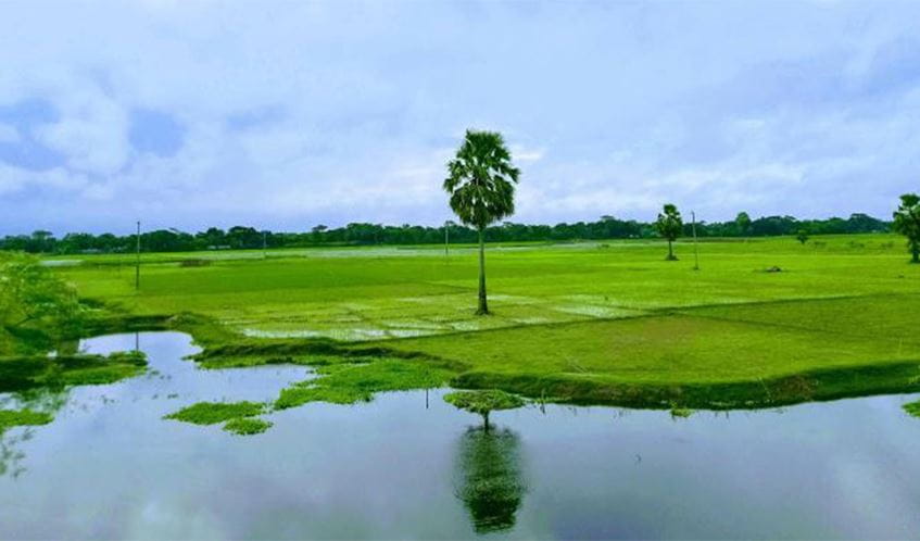 Brahmaputra River Delta in Bangladesh