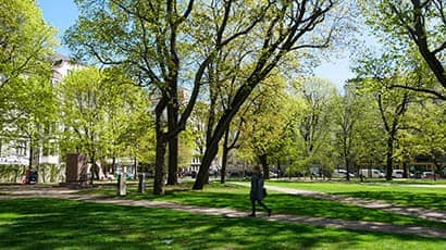 Image of a public square in the UK, with trees, grass and paths, surrounded by roads, with a woman walking through the square