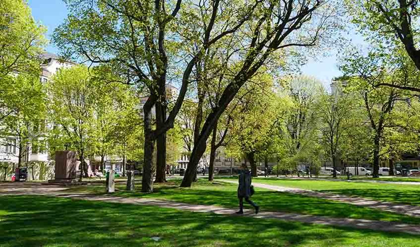 Image of a public square in the UK, with trees, grass and paths, surrounded by roads, with a woman walking through the square