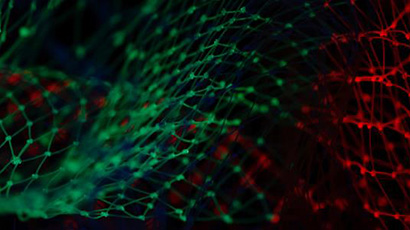 Decorative image of red and green netting in front of a black background.