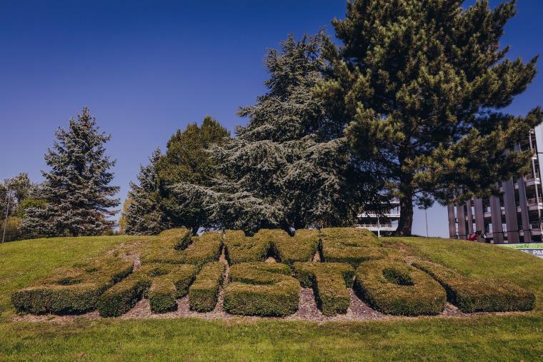 Topiary shaped to spell out the words "UWE Bristol" outside Frenchay Campus.