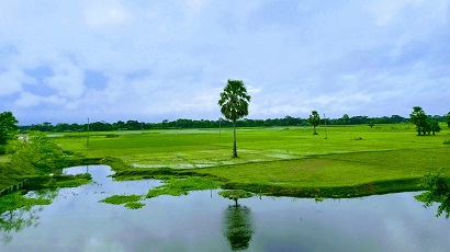 A waterlogged field and Bangladesh