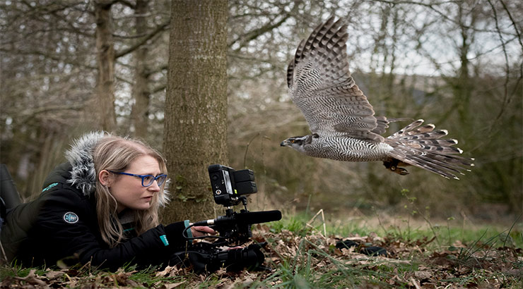 Student filming wildlife