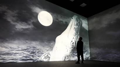 A man stands in an exhibition space looking at an image of a whale on a large screen