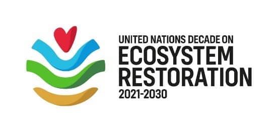 United Nations Ecosystem Restoration logo