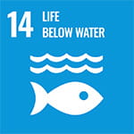 Sustainable development goal 14: Life below water