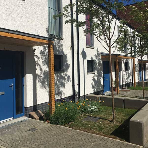 The front of a row of terraced houses with a tree in front.