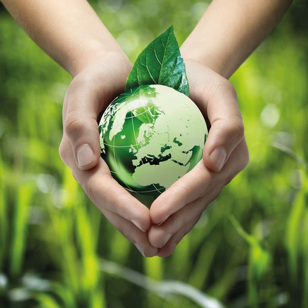 A glass globe cupped in hands against a blurred green grass background.