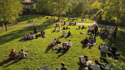 Groups of people sitting on the grass in a park surrounded by trees. 