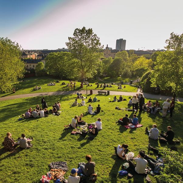 Groups of people sitting on the grass in a park surrounded by trees.