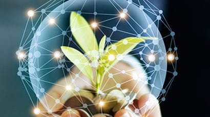 Businessman hand holding a sprout growing from coins surrounded by an orb depicting network connection.