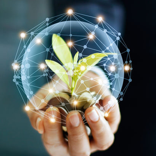 Businessman hand holding a sprout growing from coins surrounded by an orb depicting network connection. 