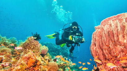 Scuba diver researching coral reef